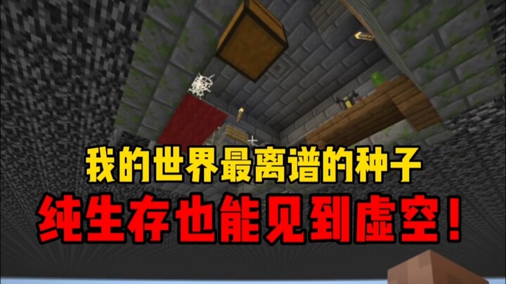 هل يمكن رؤية الفراغ في الوضع الواقعي؟ البذرة الأكثر جنونًا في ماينكرافت!