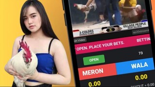 SNIPLAY88 sabung ayam - sabung ayam online - judi sabung ayam online - situs judi sabung ayam online