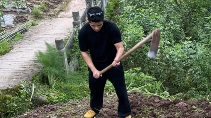 เสียดายที่ขึ้นฝั่ง คงต้องทำไร่ต่อไป