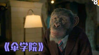 【长工】渣男套路无知小姑娘，姐姐惨遭妹妹割喉《伞学院》第八期