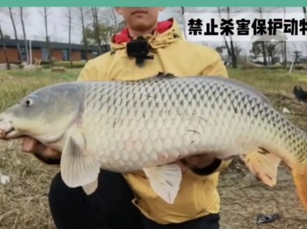 What’s the weirdest case you’ve ever seen?