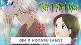 Gin x Hotaru [AMV] // Till I Met You
