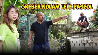 Luan KETEMU PASCOL DI BATAM PART #8 | GREBEK LELE PASCOL DI KOLAM MVP, KEJAYAAN DAN KEADILAN‼️