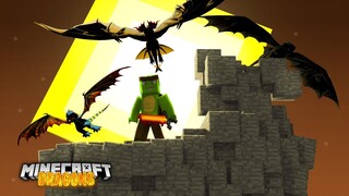 TINYTURTLE IS BACK TO SAVE SOME DRAGONS! - Minecraft Dragons
