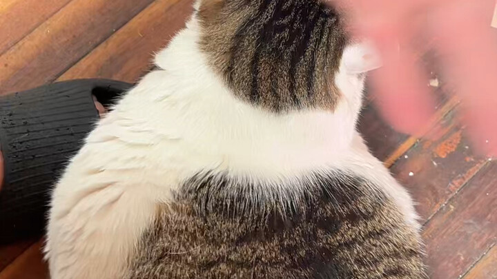 สู้ๆ พรุ่งนี้จะดีกว่าเดิม!