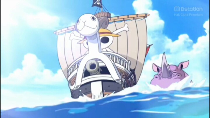 Jatuh cinta dengan kapal luffy