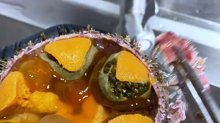 This sea urchin has had one too many and is blowing bubbles.