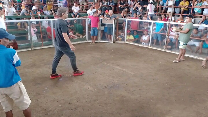 stag vs cock. di naebitaw ng maayos Buti nanalo.