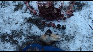 Quái vật Cracow EP 6 [Sub Việt]