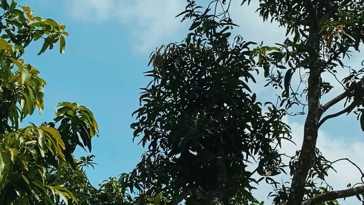 নীল আকাশের । ভিডিও-০১