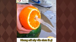 Định nghĩa cam mọng nước... |#meme #funny