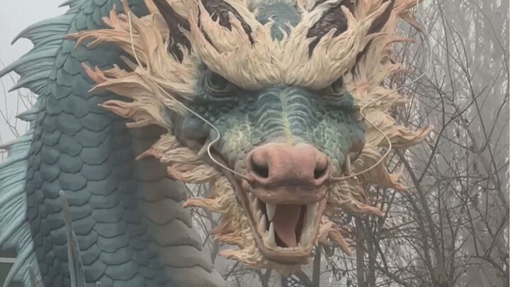 كأنه كائن حي وسط الضباب