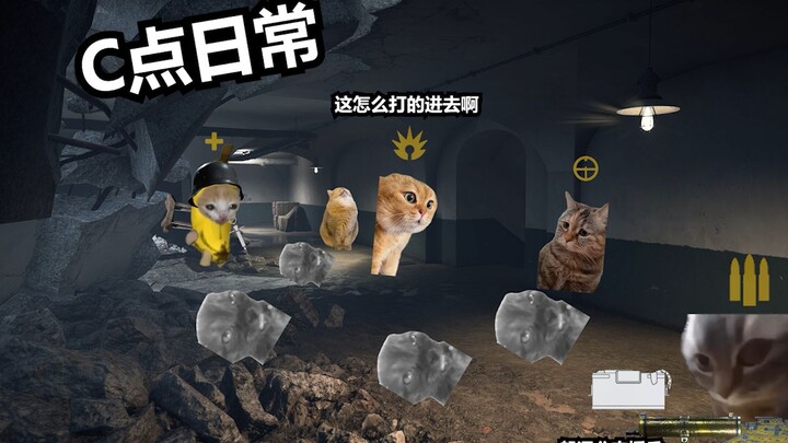 【Cat Meme】The Daily Life at Fort Faux
