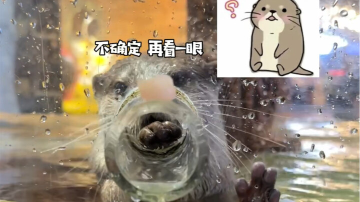 What will happen if the little otter keeps failing to catch any fish?