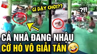Tin 3 Phút Hài | Tổng hợp tình huống 'HÀI ĐỘNG VẬT' không cười không lấy tiền P34