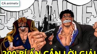 200 bí ẩn chưa được giải đáp trong One Piece __ 1