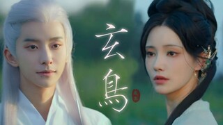 九世纠缠HE向《玄鸟》小情侣宿命感拉满！！我嗑的CP最最甜！！锦超×圻夏夏