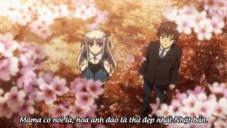 ALL IN ONE _Học Sinh Cầm Khiên Tôi Ghép Đôi Với Người Đẹp _ Tóm Tắt Anime Hay _