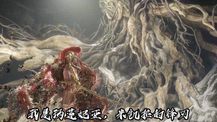 The Four Goddesses of the Souls Series