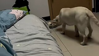 此时一位全身酸痛的网友一边咳一边笑