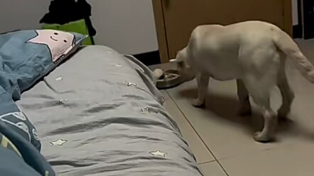 At this time, a netizen who was in pain all over his body was coughing and laughing