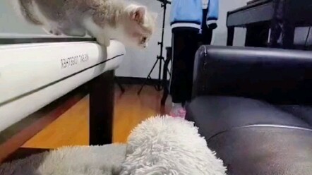 Nói ra có chút tủi nhục