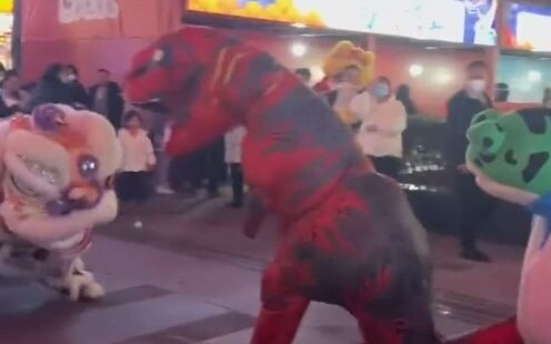 One is dragon dance, the other is lion dance.