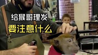 那些让人开心的动物视频！