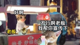 当我把老板发到网上后#猫meme小剧场#小笼包#搞笑#热心网友