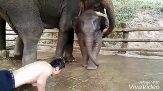 หนาวๆแบบนี้มาออกกำลังกายกัน