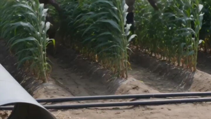 एक छिपा हुआ बंकर, क्रिस्टल जैसी साफ झरनों के बीच… क्या तुम उसे ढूँढ सकते हो? 💎🌊#रहस्य #झरना