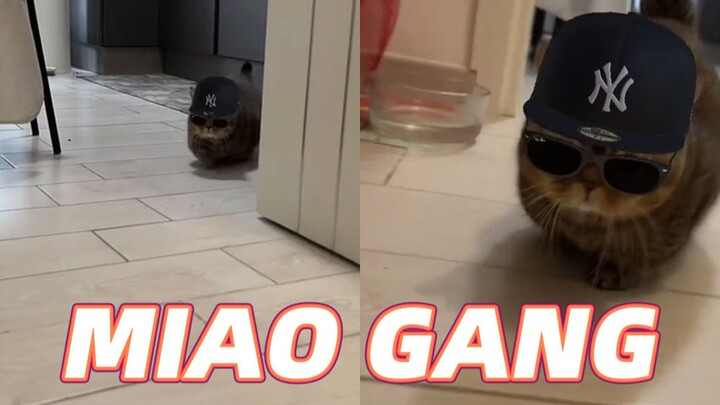 MIAO GANG GANG