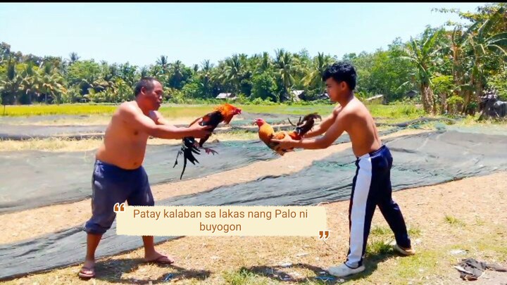 buyogon training session pumapatay talaga nang kalaban Yung palo