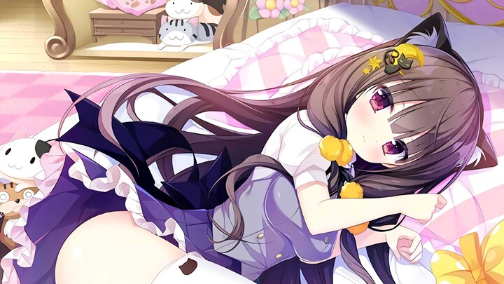 [Sleep-Talking Voice] Adorable 3D Looping Meows—So Healing! ♥ How Many Kittens Do You Think There Ar