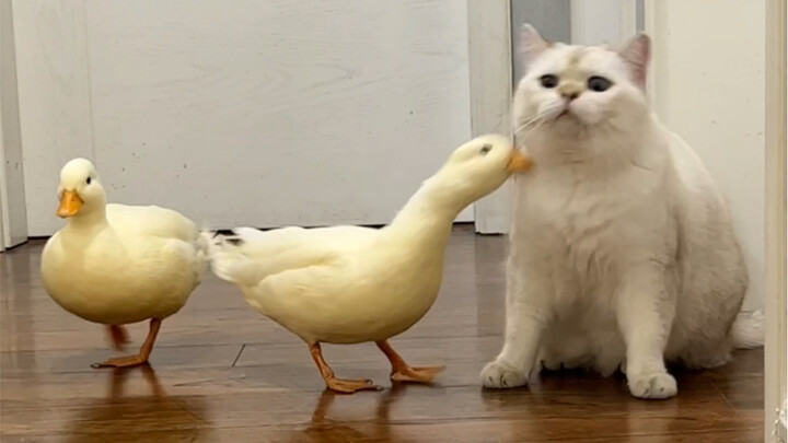 Before and after sterilization