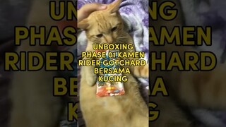 #shorts UNBOXING RIDE CHEMY CARD BERSAMA KUCING🐱