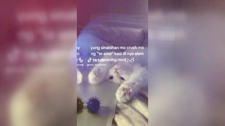 cute nya hahahah