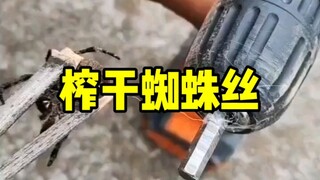 Nhện: Thật sự hết rồi, đừng nói nữa.
