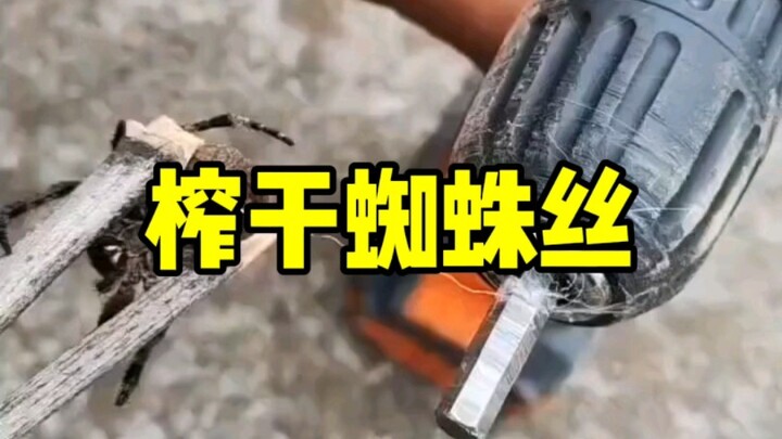 蜘蛛：真的没有了不要再扯了