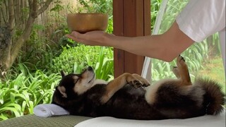 曼玉的春季户外SPA