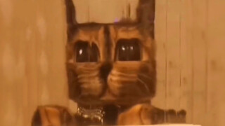 Outstanding Member of the Anti-Cat Alliance