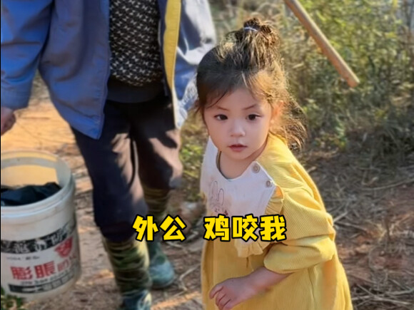 Chicken: If they want to frame me, excuses will always be found!