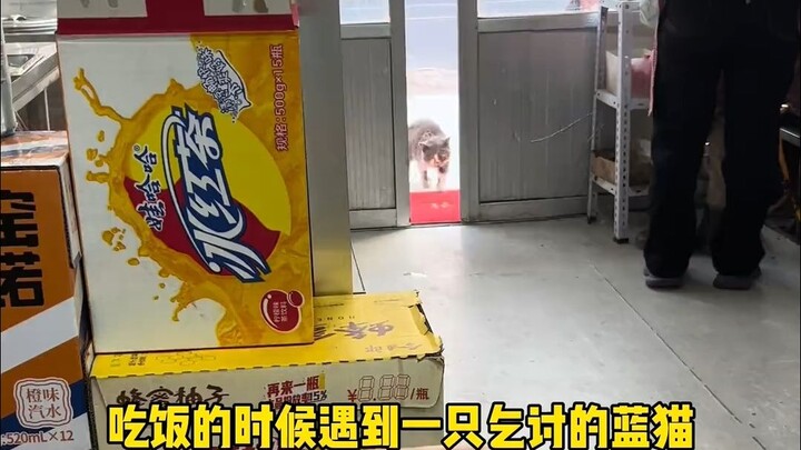 So the nicer you are, the easier it is to get abandoned?