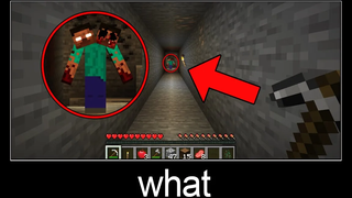 Minecraft รออะไร meme part 210 (Herobrine สองหัวที่น่ากลัว)