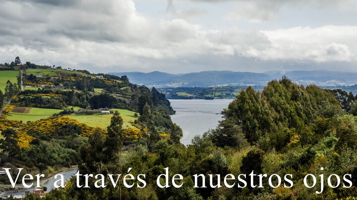 Capítulo 1 - Ver a través de nuestros ojos.