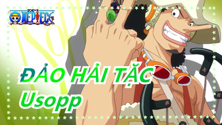 [ĐẢO HẢI TẶC] Tất cả những lời hứa của Usopp đã được thực hiện từng cái một