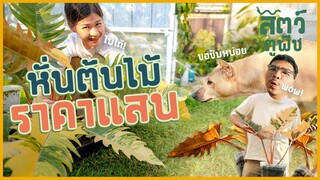 (EN) ใจสั่นหั่นต้นไม้ ราคาหลักแสน - สัตว์ตูพืช EP5