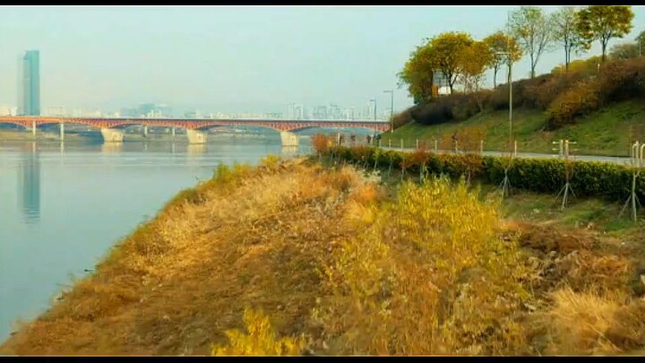 movie tagalog dubbed