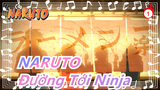 [Naruto/Cảm động] Tưởng nhớ Naruto yêu quý của chúng ta - Đường Tới Ninja_1