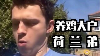 مزارع دجاج هولندا
